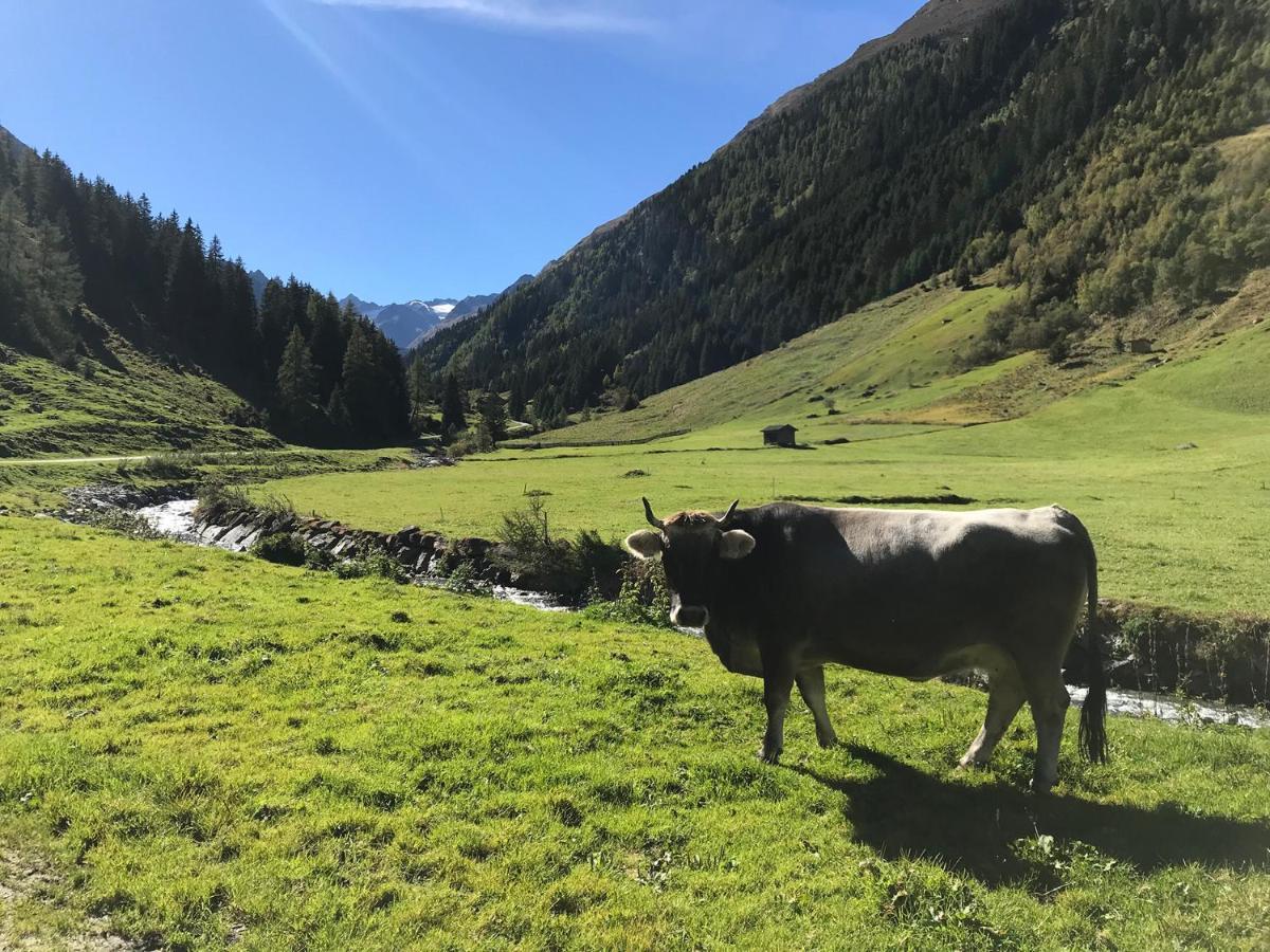 Hotel Almhof Neustift im Stubaital Exteriér fotografie